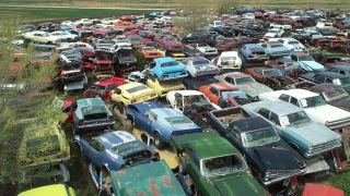 Illustration for article titled Is This The World's Largest Vintage Mustang Junkyard?